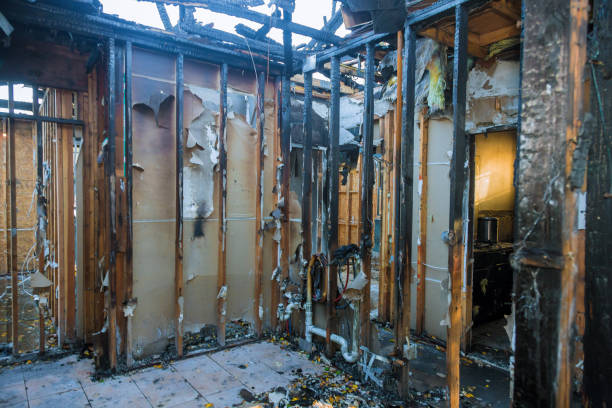 Professional Smoke Damage Removal technician working in New Richmond, OH