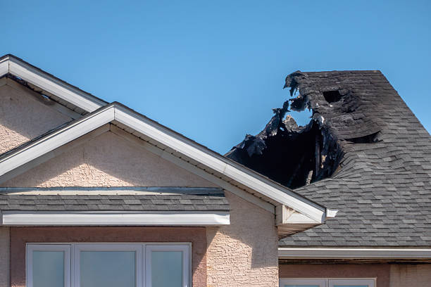 Top rated local Smoke Damage Removal specialists in New Richmond, OH